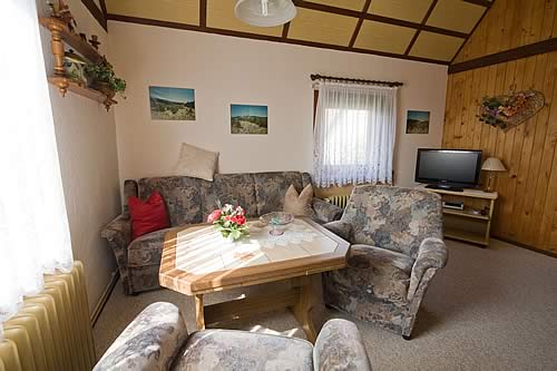 Wohnzimmer mit TV